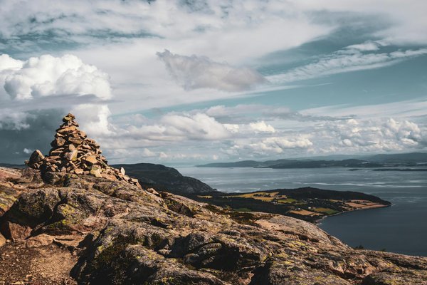 Comment organiser une visite des plantations de thé de Darjeeling en Inde : itinéraires et expériences recommandées ?
